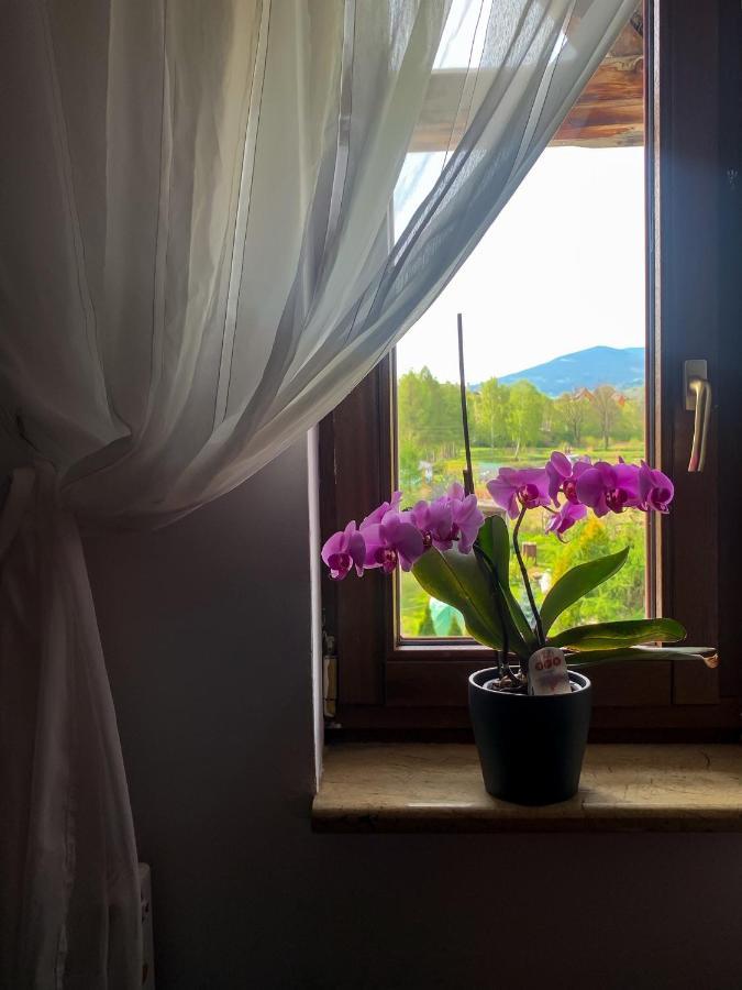 Apartmán Po Drodze Stronie Śląskie Exteriér fotografie